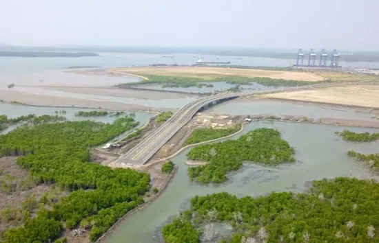 Bà Rịa-Vũng Tàu huỷ quyết định giao 86,5ha đất cho doanh nghiệp